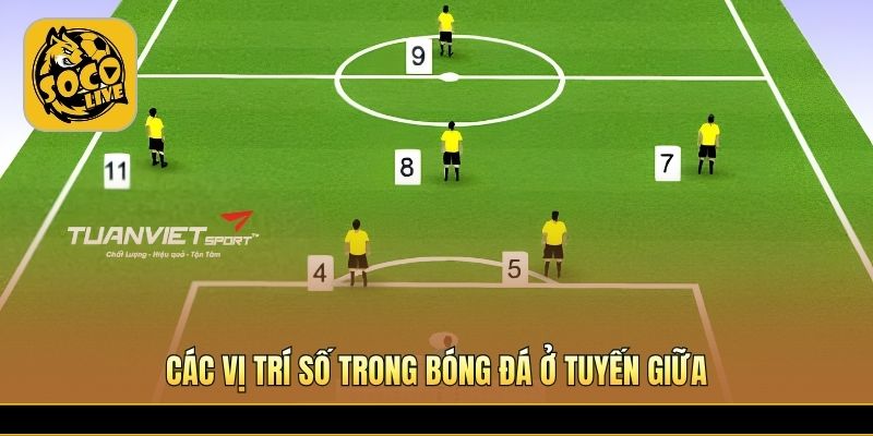 Các vị trí số trong bóng đá kiểm soát thế trận hiệu quả